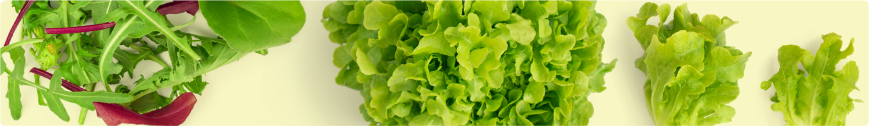 ירק ופטריות